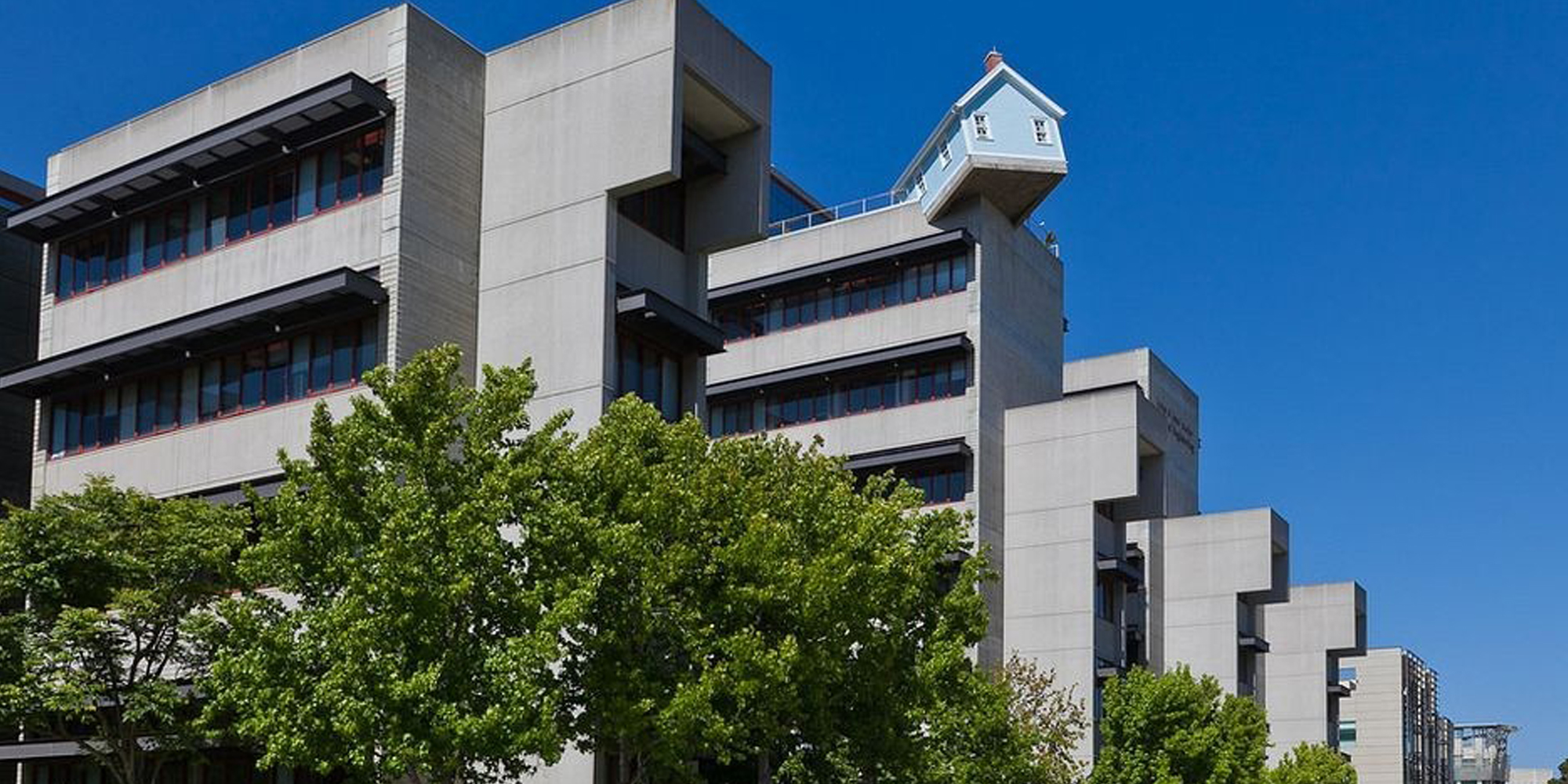 UC San Diego Fallen Star